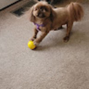 Meet your Posher, Larry